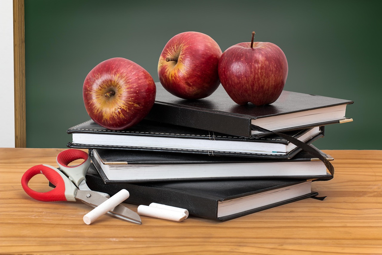 Understanding the Role of Resilience in Education